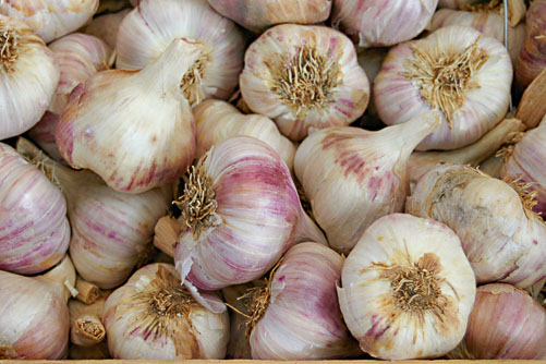 Market-in-Arles.jpg