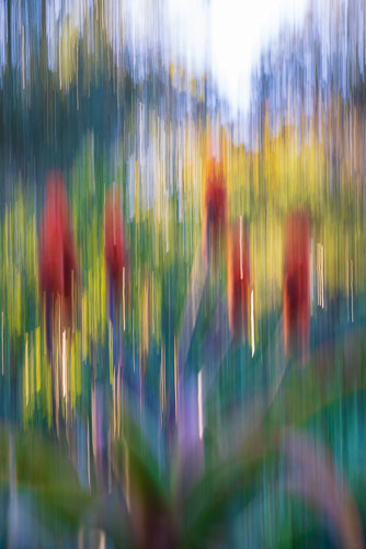 20260225_ICM_066.jpg