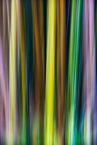 20260225_ICM_098.jpg