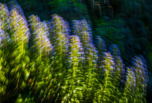 20260225_ICM_105.jpg