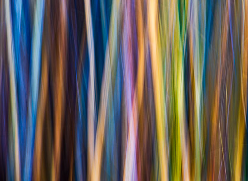 20260225_ICM_184.jpg
