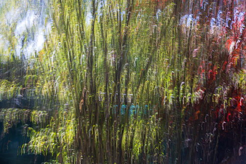 20260418_ICM_252.jpg