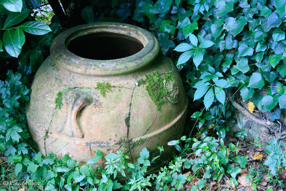 In-Federica's-Garden.jpg
