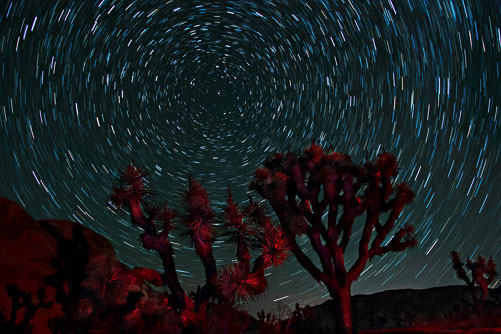 BeautifulNight-inJoshuaTree.jpg