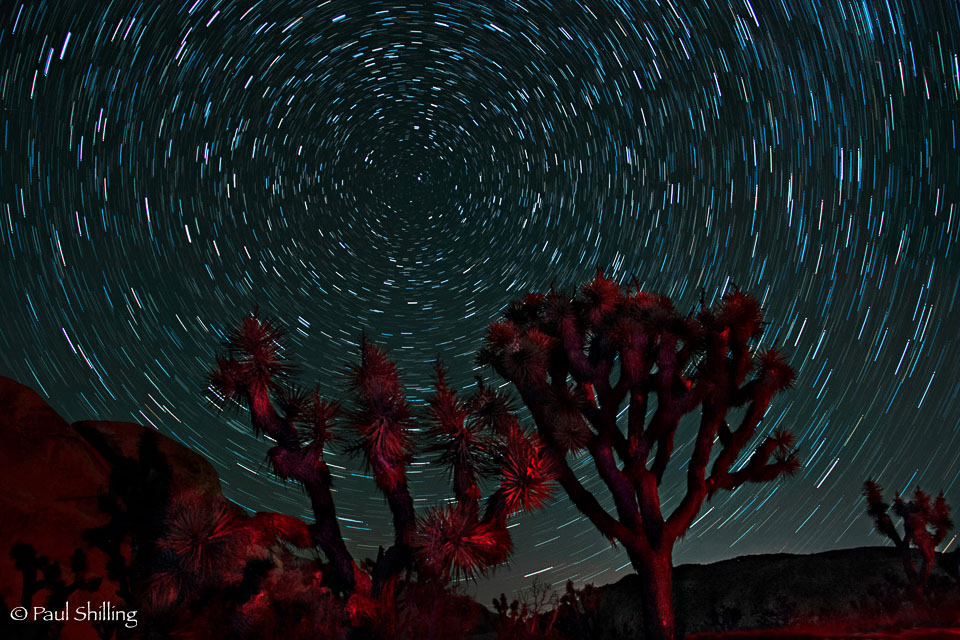 BeautifulNight-inJoshuaTree.jpg