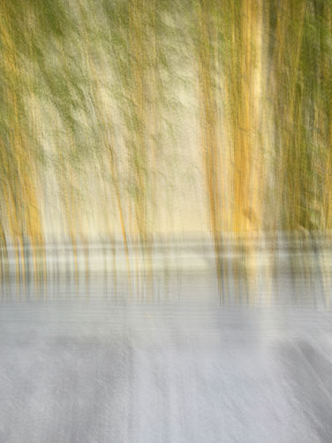ICM